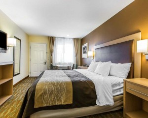 Comfort Inn Santa Cruz - 1 Single Bed