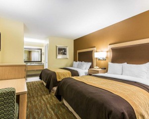 Comfort Inn Santa Cruz - Guest Room with 2 Queen Beds