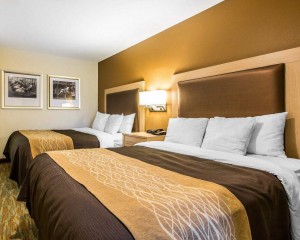 Comfort Inn Santa Cruz - 2 Queen Beds