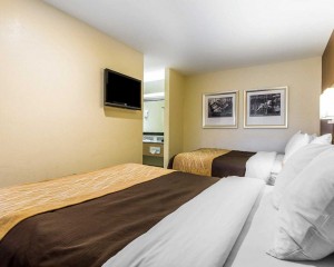 Comfort Inn Santa Cruz - 2 Queen Beds