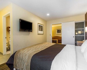 Comfort Inn Santa Cruz - King Suite