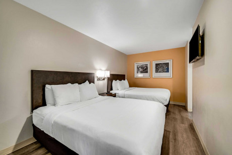 Comfort Inn Santa Cruz Beach Boardwalk Gallery - Bedroom