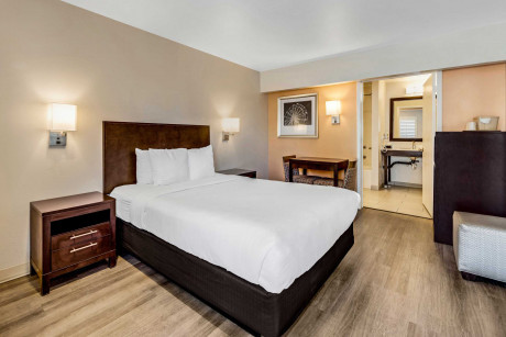 Comfort Inn Santa Cruz Beach Boardwalk Gallery - Bedroom