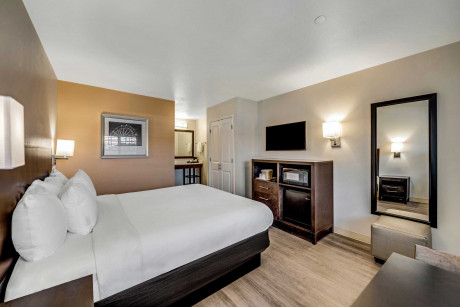 Comfort Inn Santa Cruz Beach Boardwalk Gallery - Bedroom